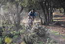 Rando VTT de Villelongue dels Monts - IMG_1871.jpg - biking66.com