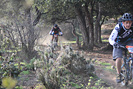 Rando VTT de Villelongue dels Monts - IMG_1873.jpg - biking66.com