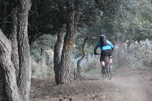 Rando VTT de Villelongue dels Monts - IMG_1900.jpg - biking66.com