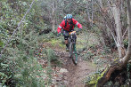 Rando VTT de Villelongue dels Monts - IMG_2639.JPG - biking66.com