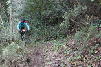 Rando VTT de Villelongue dels Monts - IMG_2670.JPG - biking66.com
