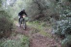 Rando VTT de Villelongue dels Monts - IMG_2694.JPG - biking66.com