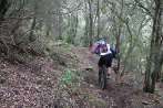 Rando VTT de Villelongue dels Monts - IMG_2741.JPG - biking66.com