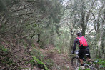 Rando VTT de Villelongue dels Monts - IMG_2753.JPG - biking66.com