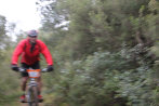 Rando VTT de Villelongue dels Monts - IMG_2762.JPG - biking66.com