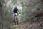 Rando VTT de Villelongue dels Monts - IMG_2768.JPG - biking66.com