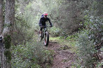 Rando VTT de Villelongue dels Monts - IMG_2777.JPG - biking66.com