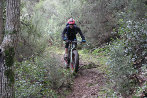 Rando VTT de Villelongue dels Monts - IMG_2778.JPG - biking66.com