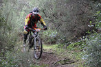 Rando VTT de Villelongue dels Monts - IMG_2780.JPG - biking66.com