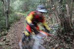 Rando VTT de Villelongue dels Monts - IMG_2782.JPG - biking66.com
