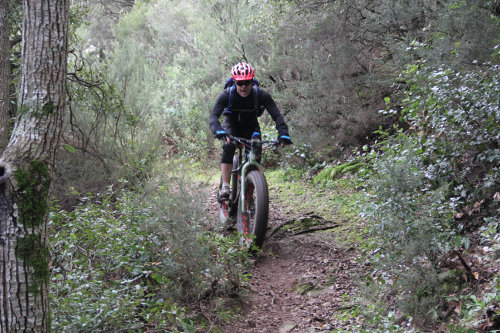 Rando VTT de Villelongue dels Monts - IMG_2778.JPG - biking66.com